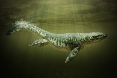 Giant ‘sea monster’ fossil unearthed in Mississippi mud