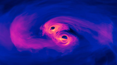 What can ripples in spacetime reveal about black holes? Quite a bit, it turns out