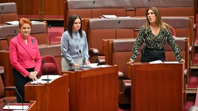 Cannabis or coal: shifting Senate a recipe for surprise