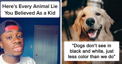 Guy Exposes 16 Animal Lies We Believe As Kids, Provides An Explanation About What Is Actually Happening