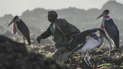 Global talks seek to curb e-waste dumping as Africa bears the brunt