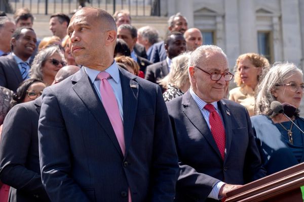 Democrats rally at US Capitol to decry ‘failure’ of Trump’s first 100 days