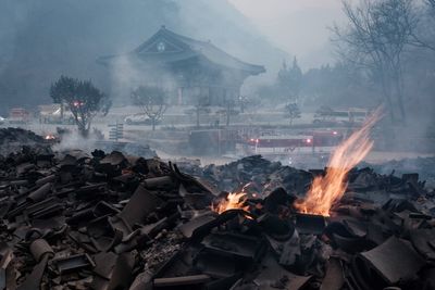 Climate change made South Korea’s deadliest wildfires twice as likely, scientists find