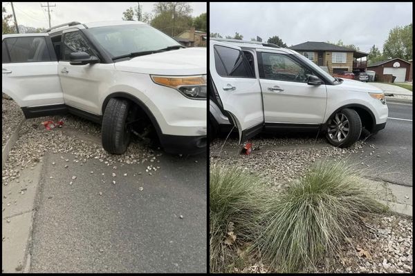 7-Year-Old Stole Mom's Car to Drive Little Sister to McDonald's. Mom Says He Wants 'Be a Truck Driver Someday'