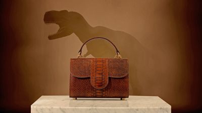 T. rex researchers eviscerate 'misleading' dinosaur leather announcement
