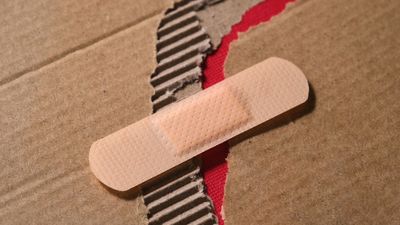 Humans heal 3 times slower than our closest animal relatives