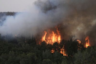 Israel wildfires latest: Firefighters winning 30-hour battle as Jerusalem blaze largely contained