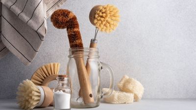 Which team are you on in the dish sponge vs. dish brush debate? One is a 'germ farm sitting by your sink', warn cleaning experts