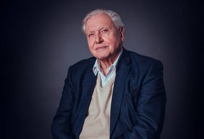 Quick Facts On David Attenborough: Age, Net Worth And All Animals Named After Him