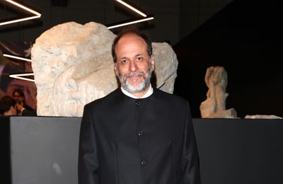 Luca Guadagnino’s DC movie Sgt. Rock ‘cancelled’