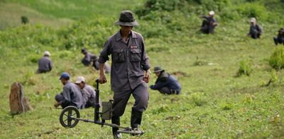 Trump is freezing funds to clear thousands of unexploded mines in Vietnam 50 years after war ended