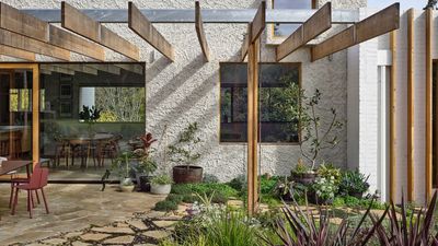 I'm Obsessed With This Potted 'Mini Meadow' Idea for Filling a Small Container Garden With Beautiful Flowers