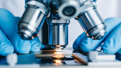 If A Recession Hits, Will Medical Stocks Be A Safe Haven For Investors — Again?