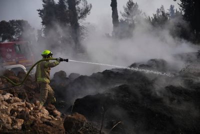 What caused the Israel wildfires? At least 18 suspects arrested over possible arson link