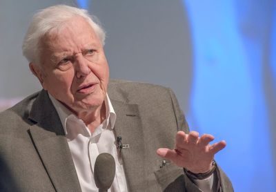 David Attenborough shares his concerns as he approaches the 'end of his life'
