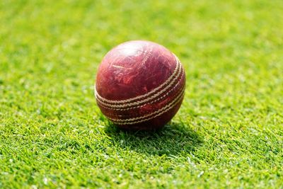 Cricket set to follow football in banning transgender women from female events