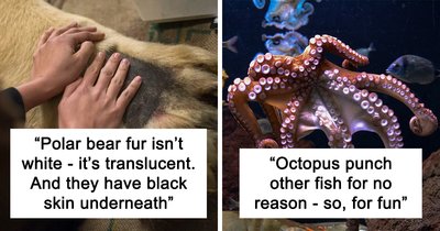 22 People Share The Weirdest Animal Facts They Know