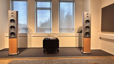 I listened to Audiovector's flagship floorstanders, and they're an incredibly fun way to spend a small fortune