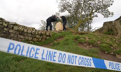 Man accused of felling Sycamore Gap tree told police he was ‘stitched up’