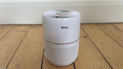 This surprisingly affordable air purifier made my air smell beautiful - it even has an aromatherapy function