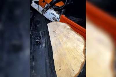 Sycamore Gap tree felling suspect claims he was ‘fixed up’ after a dispute by someone ‘stirring the pot’