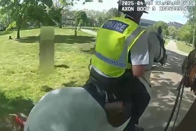 Video: Moment out-of-control dog tries to bite police horses on patrol