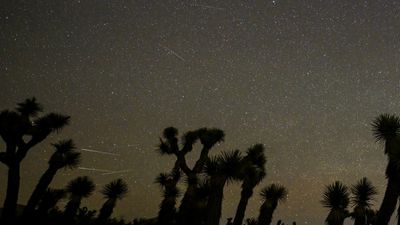 The Eta Aquarid meteor shower peaks May 6. Here's what to expect from the 'crumbs' of Halley's Comet