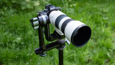 K&F Concept Professional 360º Panoramic Gimbal Head review: long lens support and movement on a budget