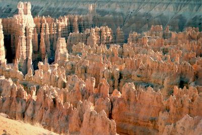 Two people dead but cat miraculously survives 380-ft fall at Utah national park