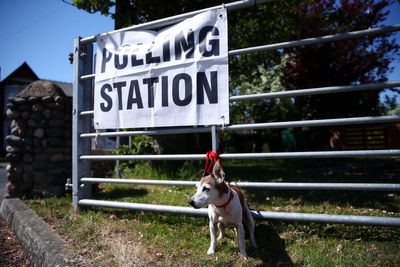 Polls close in contests which could see Labour and Tories suffer losses