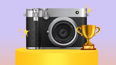 Fujifilm compact cameras top sales at world's largest electronics store