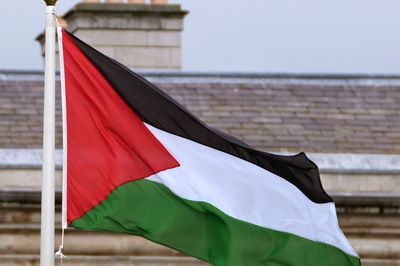 Pro-Palestine protesters breach perimeter at airport in Co Clare