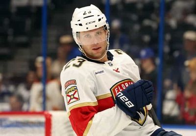 Capitals and Panthers reach second round of NHL Playoffs