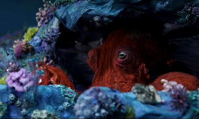 Octopus to Long Way Home: the seven best shows to stream this week