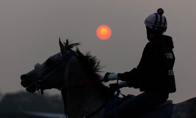 Horses helped shape the world as we know it. Now we run them to death