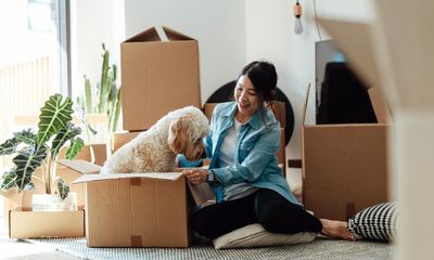 ‘Use a pheromone spray on your cat’s bedding’: five top tips that will help your pet adjust when moving home