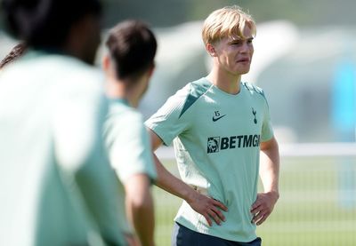 Tottenham: Lucas Bergvall injury update as Ange Postecoglou confirms worst fears