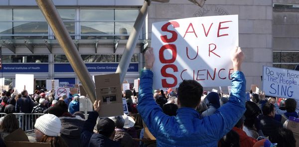 A Michigan research professor explains how NIH funding works − and what it means to suddenly lose a grant