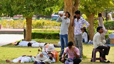 Planting more trees in cities could have saved 1.1 million lives in two decades, study suggests
