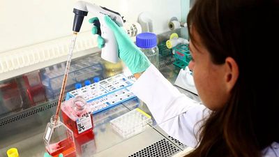 Trump administration’s funding freeze for foreign medical research to hit European scientists