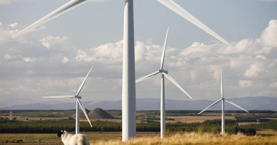 Scottish ministers approve plan for new wind farm and battery storage site