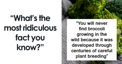 “Your Brain Just Ignores It”: 32 People Share The Most Ridiculous Fact They Know