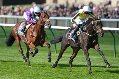 2,000 Guineas Betting Tips: Runners, Riders and Best Bets for Newmarket Classic