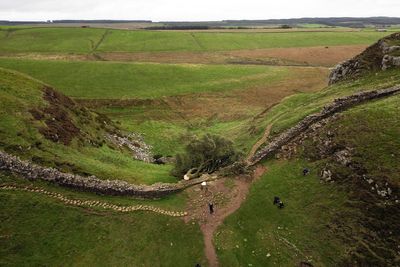 Sycamore Gap accused thought world-famous tree would be ‘good trophy,’ jury told