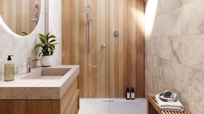 Here’s Why Walk-In Showers Are Replacing Bathtubs in Contemporary Homes