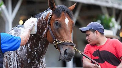 Can Journalism End the Kentucky Derby Chaos?