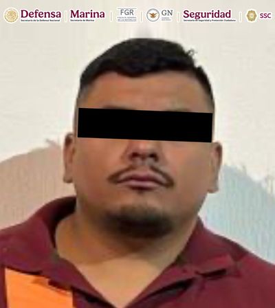 Mexican Authorities Arrest 'Ajenjo,' a Top Cartel Operative in Mexico City