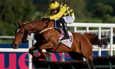 State Man romps home at Punchestown as Constitution Hill flops again