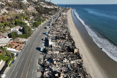 What Trump's budget cuts could mean for the environment