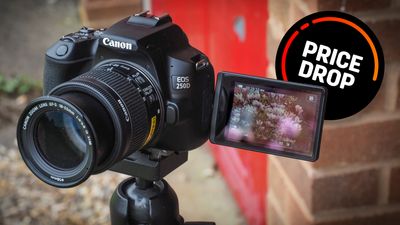 The Canon EOS 250D drops to best price for ages, but is it still worth buying in 2025?